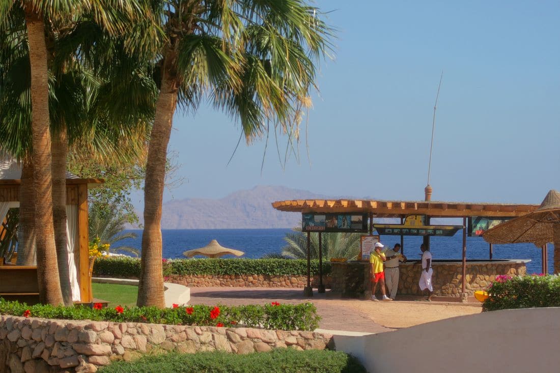 A beachside kiosk under palm trees with the sea and mountains behind it