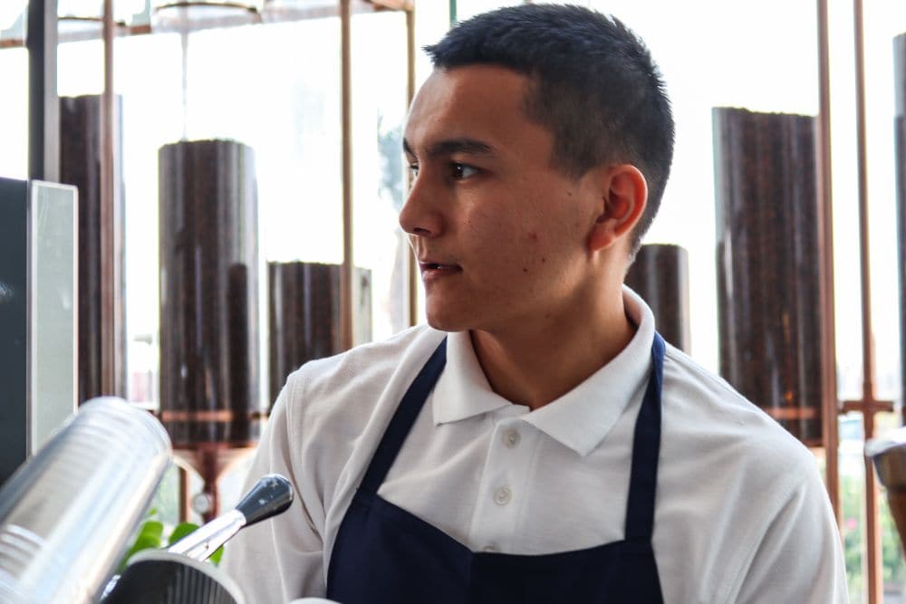 A young man in an apron working in a cafe
